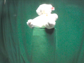 180 Degrees _ Picture 9 _ White Teddy Bear Wearing Gold Ribbon.png